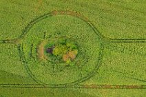 AERIAL ART - field with a little grove - near Thumby - Germany 01 AERIAL ART - field with a little grove - near Thumby - Germany 01.jpg