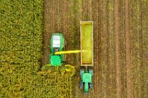 AERIAL ART - CORN HARVEST with corn chopper and tractor and trailer 21 AERIAL ART - CORN HARVEST with corn chopper and tractor and trailer 21.jpg