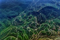 GEO ART - PLANTATION ON THE HILLS AROUND SEPANG - MALAYSIA GEO ART - PLANTATION ON THE HILLS AROUND SEPANG - MALAYSIA
