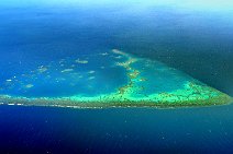 GEO ART - REEF IN THE RED SEA - IN FRONT OF JEDDAH - SAUDI ARABIA 2 GEO ART - REEF IN THE RED SEA - IN FRONT OF JEDDAH - SAUDI ARABIA 2