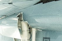 Detail of US NAVY Grumman F14 Tomcat - Florida Air Museum - Lakeland - Florida - USA 06 Detail of US NAVY Grumman F14 Tomcat - Florida Air Museum - Lakeland - Florida - USA 06.jpg