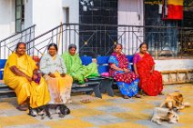 Group of ladies in colorful clothes - Dr Rajkuman Park - Bangalore - India 01 Group of ladies in colorful clothes - Dr Rajkuman Park - Bangalore - India 01.jpg