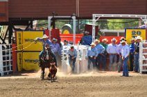 20110708_215535_Calgary_Stampede_RODEO